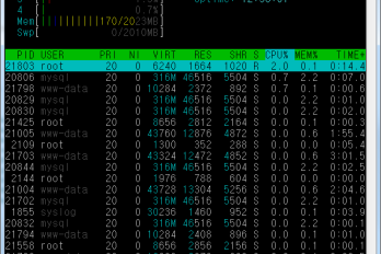 서버 이전 했습니다. (포고플러그->오드로이드U2)