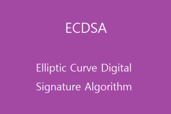 Nginx에서 RSA와 ECDSA 하이브리드 인증서 설정하기