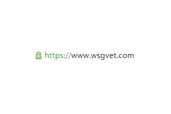 그누보드5 https 전체 사이트 적용 후기