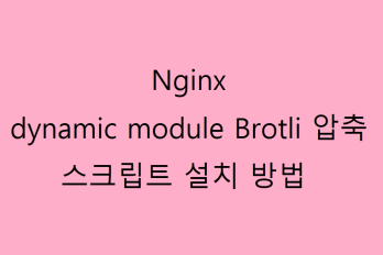 brotli 압축을 스크립트로 편하게 현재 nginx에 추가하기