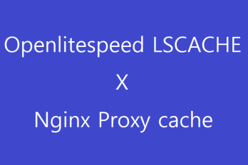 Openlitespeed 웹서버 설치 및 Nginx 리버스 프록시 서버 설정하기 (1)