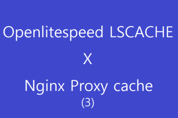 Openlitespeed 웹서버 설치 및 Nginx 리버스 프록시 서버 설정하기 (3)