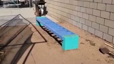 이비전 하운드의 천재적인 장애물 넘기