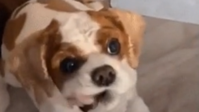 배고픈데 못참겠어 부들부들