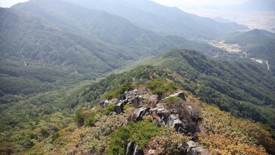 가을 비슬산 다녀왔습니다.